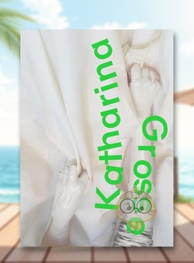 【预售】卡塔琳娜格罗斯为什么三个音调不能组成三角形Katharina Grosse英文艺术家艺术工作室Hirmer Publishers精装进口原版书97