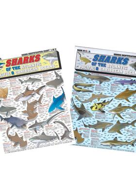 【预售】好奇孩子的进化学启蒙 【Curious Kids】Evolution for Curious Kids 原版英文儿童绘本 STEM科普进口书籍图书外版正版