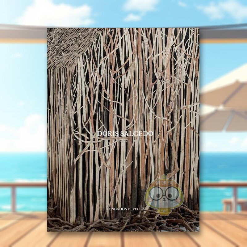 多丽丝&middot;萨尔塞多 Doris