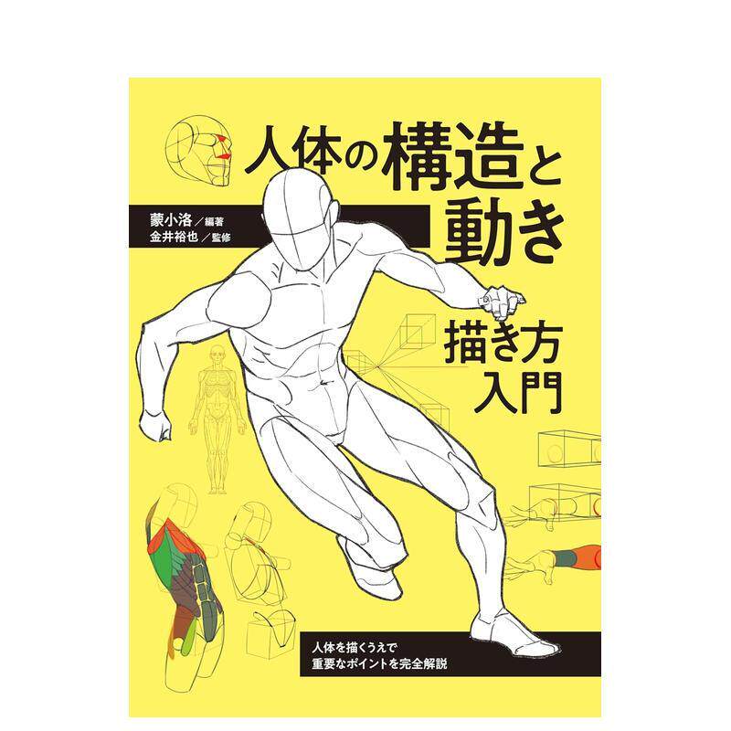 【现货】人体的构造与动作 绘画入门 人体の构造と动き 描き方入门 日文进口原版插画技法 金井 裕也