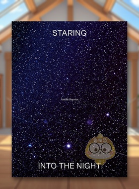【预售】凝望黑夜：阿梅莉·布维尔 Staring into the Night:Amélie Bouvier 原版英文艺术画册画集进口书籍图书外版正版