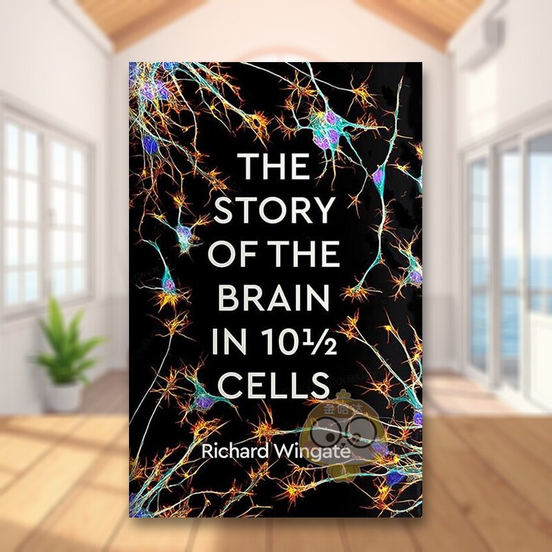 10 1/2 个细胞中大脑的故