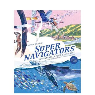 Find 英文儿童绘本 超级导航员：动物如何寻路 原版 Way Their Animals How Supernavigators 现货