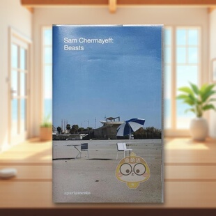 【现货】柏林建筑师Sam Chermayeff野兽家具系列Sam Chermayeff英文室内设计师工作室Apartamento软装apartamento进口原版书书籍图