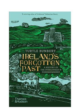 【现货】爱尔兰被遗忘的过去 Ireland's Forgotten Past 原版英文人文历史