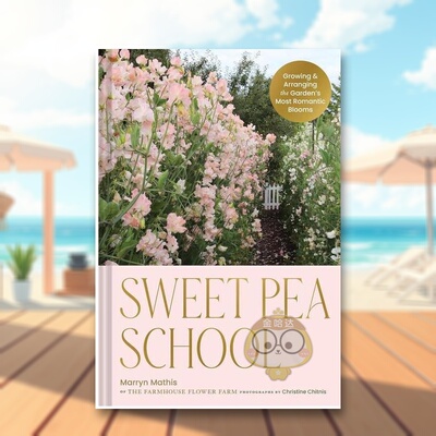 【现货】甜豌豆学校种植和布置花园中的浪漫花朵英文生活生活进口原版书精装14岁以上Sweet Pea School: Growing & Arranging th书