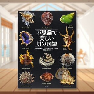 日文艺术图鉴日版 奇妙美丽贝类图鉴 进口原版 图书外版 図鑑 书籍不思議で美しい貝 预售