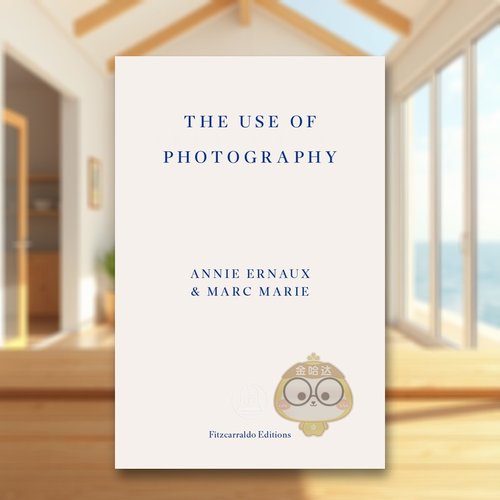 相片之用：安妮&middot;埃尔诺&马克&middot;