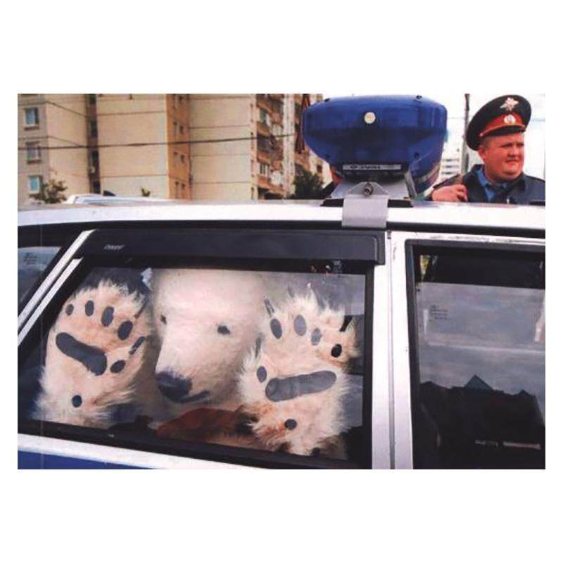 【人类迷惑行为】#2这究竟怎么