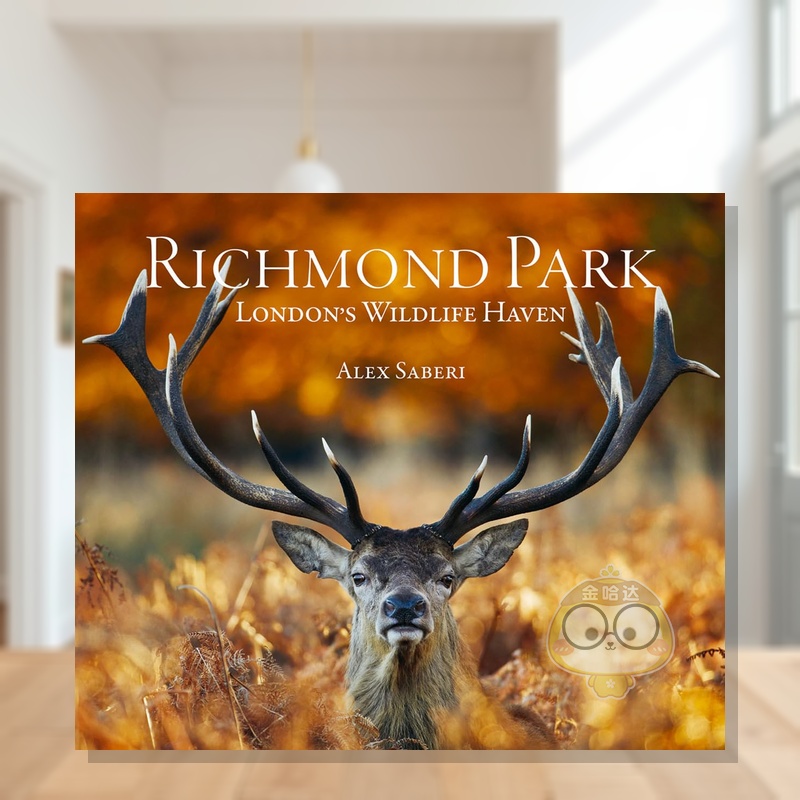 里士满公园：伦敦野生动物天堂