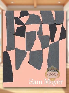 【现货】美国装置艺术家Sam Moyer英文艺术家艺术工作室进口原版外版书精装14岁以上Sam MoyerKaitlyn GreenidgeRizzoli书籍图书正