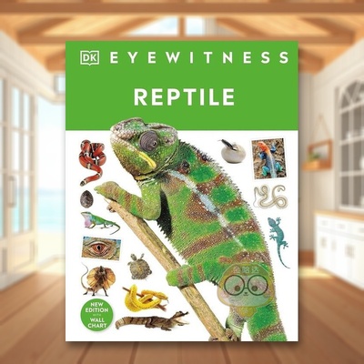 【预售】【DK视界】爬行动物【DK Eyewitness】Reptile英文儿童绘本知识百科3-6岁精装DK进口原版书DK Children241631676书籍图书