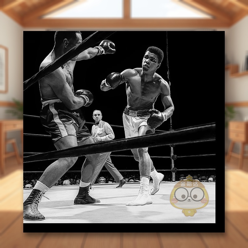 【TASCHEN限量版】致敬拳