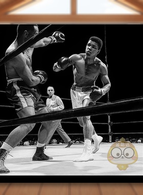 【预售】【TASCHEN限量版】致敬拳王阿里阿里对决福利1967英文摄影进口原版书【Art Editioned Prints】Homage to Ali. ‘Ali vs书