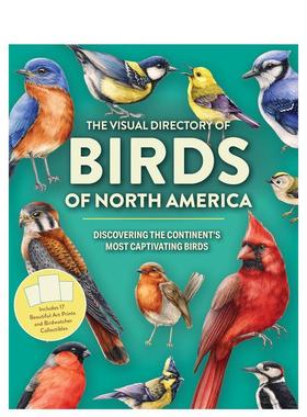 【预售】北美鸟类视觉图鉴：探索大陆迷人飞羽精灵 The Visual Directory of Birds 原版英文生活综合进口书籍图书外版正版