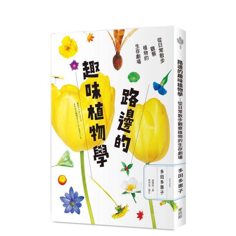 【预售】路边的趣味植物学：从日常散步观察植物的生存剧场 台版原版中文繁体艺术画册画集 多田多惠子 城邦-麦浩斯