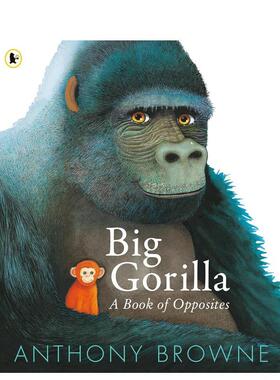【现货】大猩猩：反义词认知书 Big Gorilla: A Book of Opposites 原版英文儿童语言/概念启蒙进口书籍图书外版正版