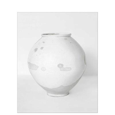 【现货】学者的视野：韩国陶瓷 The Scholar's Vision  The Photographer's Eye 原版英文艺术画册画集