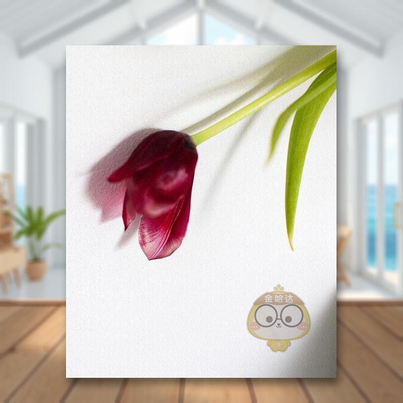 【预售】郁金香 CELINE MARCHBANK: Tulip 原版英文摄影作品集进口书籍图书外版正版