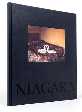 【预售】Alec Soth摄影集 尼亚加拉 Niagara 英文原版人文自然风光摄影作品集书籍 精装进口艺术画册 埃里克·索斯/艾克·索思