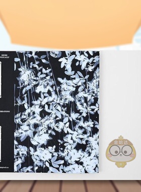 【现货】震动Vibrations法文摄影Henri FoucaultDelpire Editeur进口原版书9791095821243书籍图书外版正版