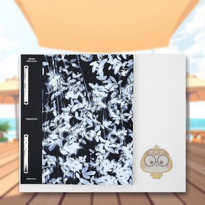 【现货】震动Vibrations法文摄影Henri FoucaultDelpire Editeur进口原版书9791095821243书籍图书外版正版