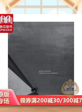 【预售】不可预测的图画英文艺术家艺术工作室进口原版外版书精装David Goldes: Unpredictable DrawingsDavid GoldesRadius Boo书