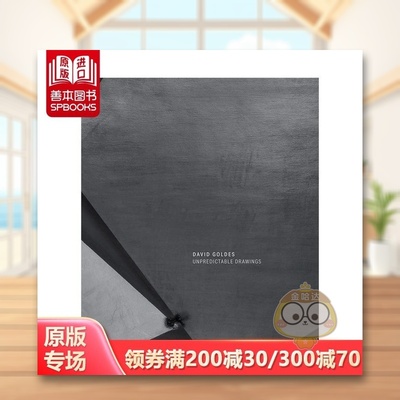 【预售】不可预测的图画英文艺术家艺术工作室进口原版外版书精装David Goldes: Unpredictable DrawingsDavid GoldesRadius Boo书