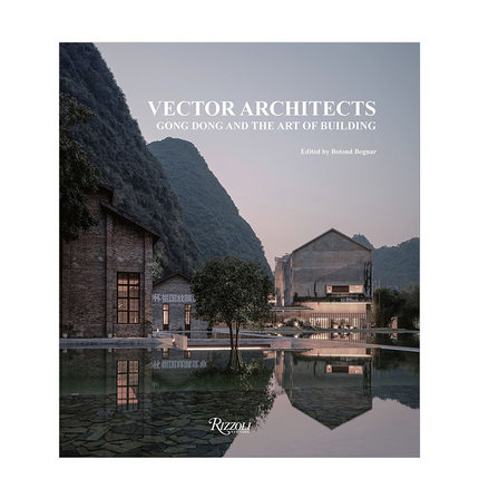 【现货】直向建筑：董功与建筑艺术 Vector Architects:Gong Dong 英文建筑设计书籍原版进口图书海边图书馆/海边教堂/长江美术馆