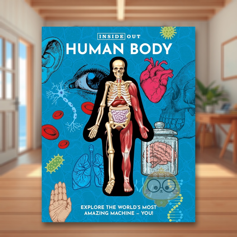 【里里外外】人体(新版) 【I