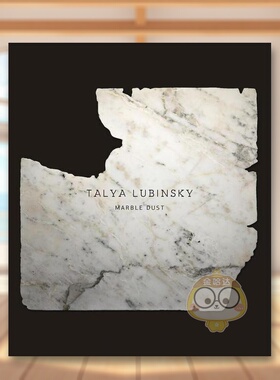 【预售】塔莉亚鲁宾斯基大理石尘埃Talya Lubinsky英文艺术家艺术工作室Verlag Kettler平装进口原版书68647书籍图书外版正版