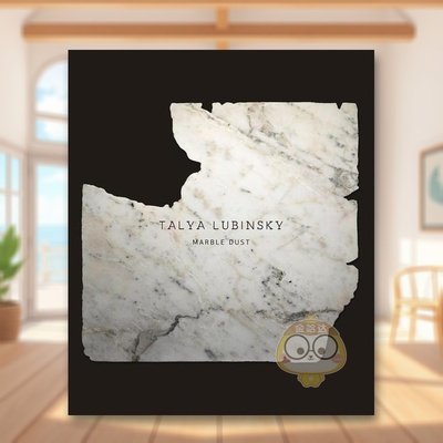 【预售】塔莉亚鲁宾斯基大理石尘埃Talya Lubinsky英文艺术家艺术工作室Verlag Kettler平装进口原版书68647书籍图书外版正版