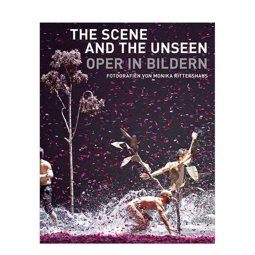 驯服野兽：大师银匠　英文原版