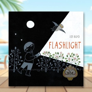 【预售】你看见了什么? Flashlight 原版英文儿童绘本进口书籍图书外版正版