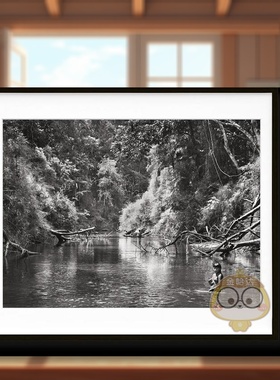 【预售】【TASCHEN限量版】塞巴斯蒂安萨尔加多亚马逊英文摄影精装进口原版书【Art Edition】Sebastiao Salgado. Amazonia. No.书