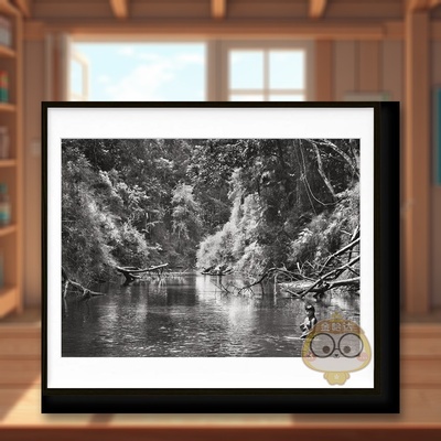 【预售】【TASCHEN限量版】塞巴斯蒂安萨尔加多亚马逊英文摄影精装进口原版书【Art Edition】Sebastiao Salgado. Amazonia. No.书