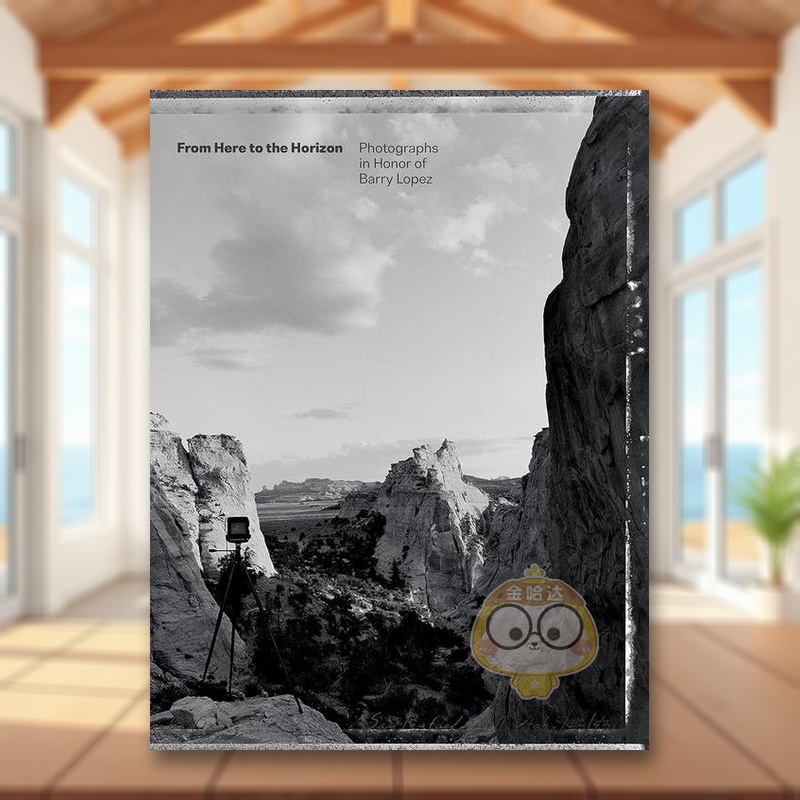 从这里到地平线：纪念巴里·洛佩