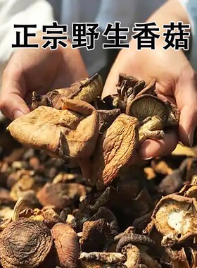 云南特产正宗野生蘑菇干 炖小鸡 干小香菇食用菌煲汤干货包邮