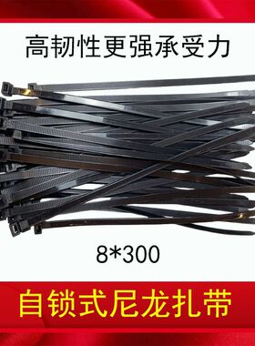 汽车工业级黑色塑料封条尼龙扎带自锁式8x300mm扎线带强力线束