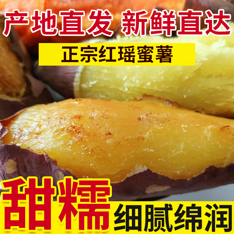 天津岳龙红瑶蜜薯软糯香甜