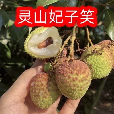 广西灵山妃子笑荔枝贵妃笑白糖香荔枝新鲜包邮现摘孕妇当季水果