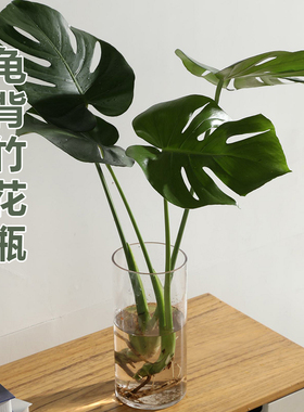 玻璃花瓶圆口30水培器皿