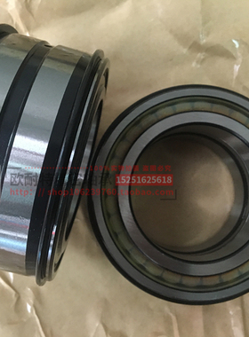 密封双列满装圆柱滚子轴承NNF5010 SL045010 NNF5011 SL045011 PP