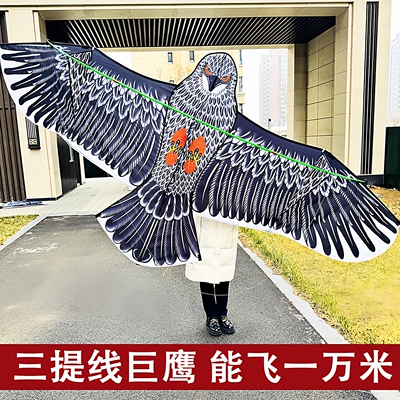 3.6米三提线高端巨型老鹰风筝