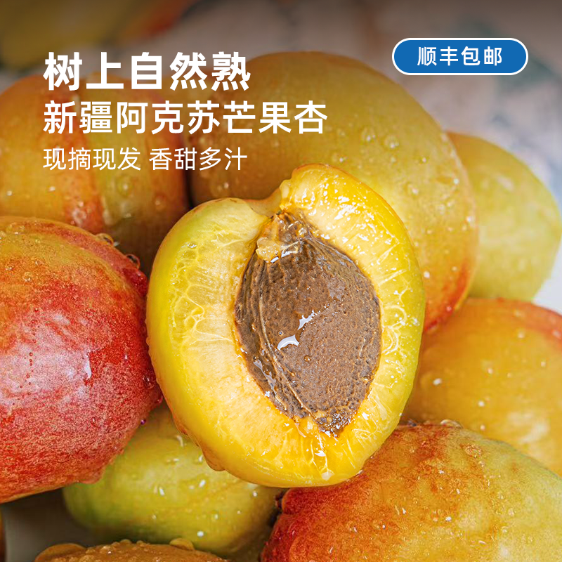 现摘现发丨新疆阿克苏芒果杏 肉厚核小 金黄诱人 甜蜜多汁