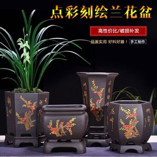 精品紫砂兰花盆君子兰花盆蝴蝶兰花盆中国风花盆室内阳台盆栽花盆