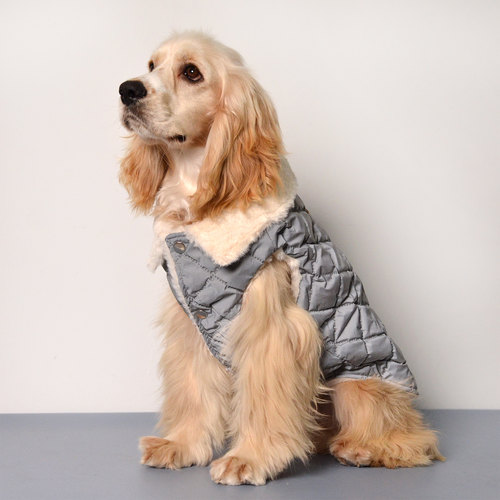 狗衣服西施小型犬雪纳瑞泰迪柯基可卡中型犬加厚保暖绒马甲冬季款