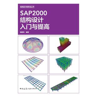 SAP2000结构设计入门与提高 杨韶伟编著 9787112314973