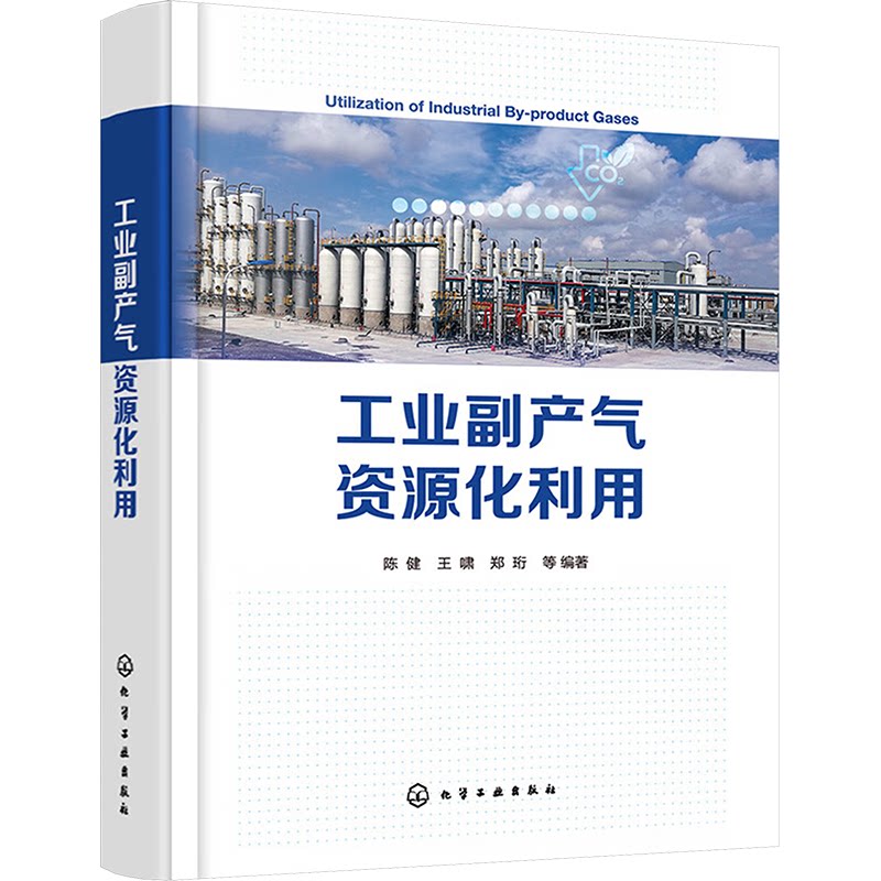 工业副产气资源化利用 陈健, 王啸, 郑珩等编著 9787122451132
