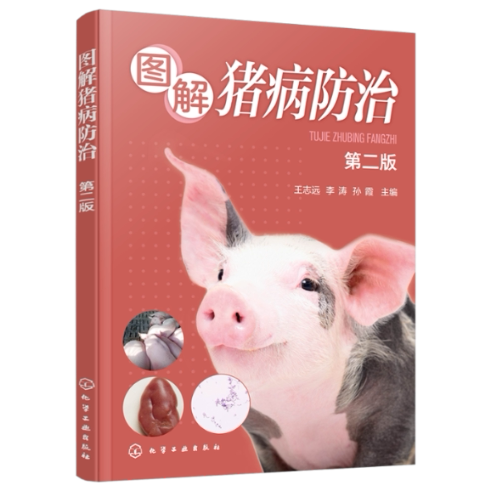 图解猪病防治 王志远, 李涛, 孙霞主编 9787122440662